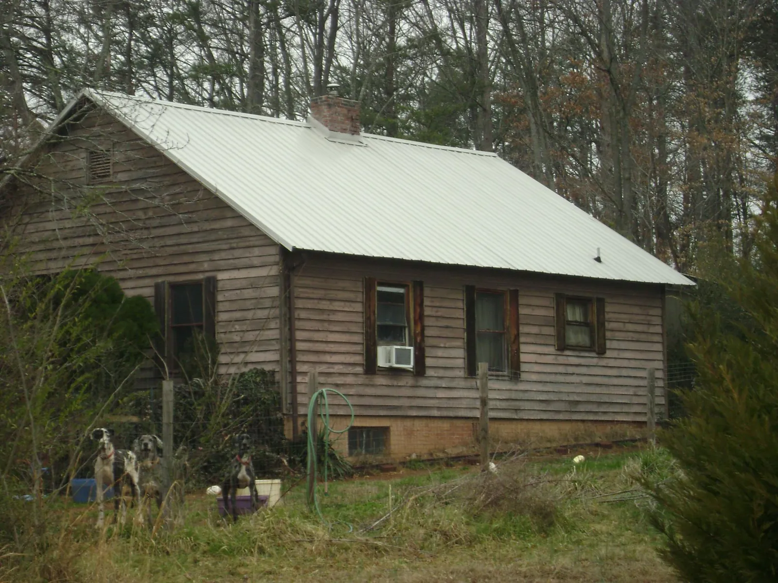 White metal roof on an old wood sided farmhouse, from a Asphalt Shingle Roof Repair job in Corte Madera